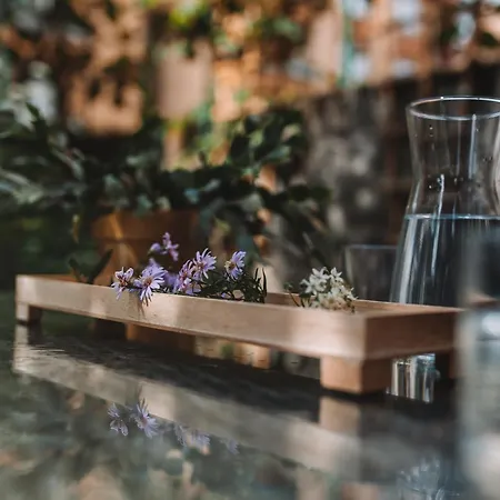 Apartman With Atrium Anabela Tolmin