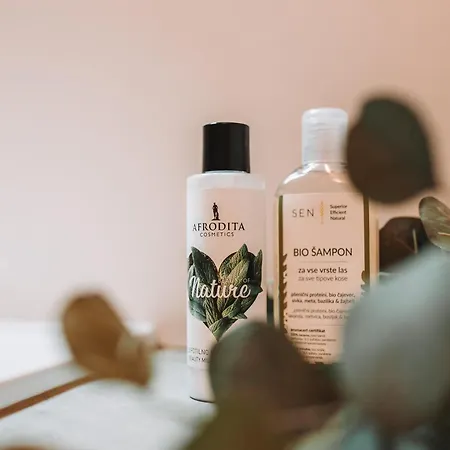 With Atrium Anabela Apartman *