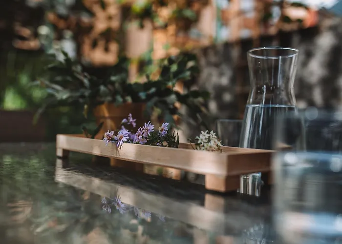 公寓 With Atrium Anabela 托尔明