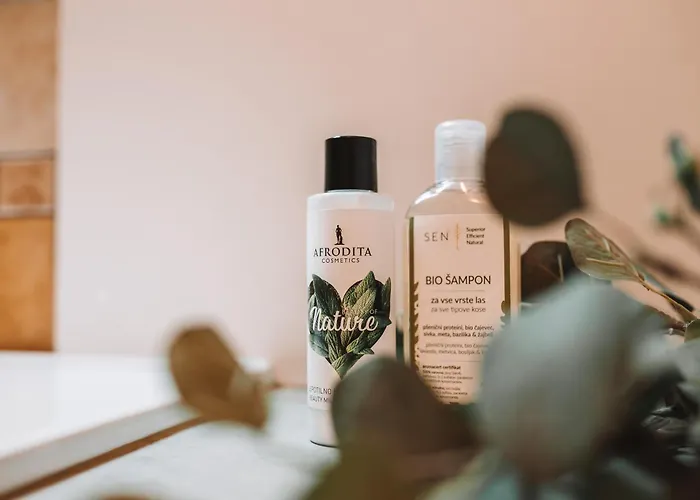 With Atrium Anabela 公寓 *