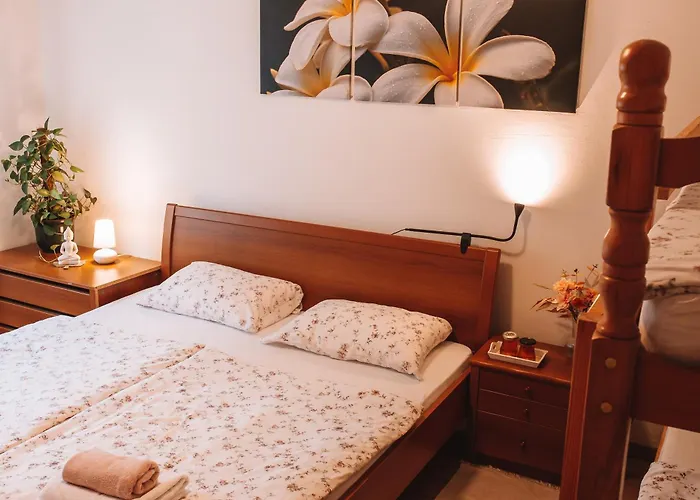 With Atrium Anabela Tolmin